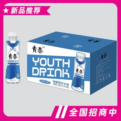 青春電解質補水液480mlX15