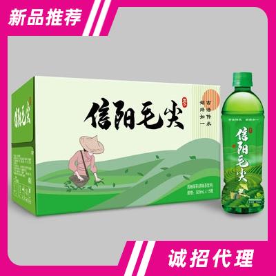 信陽毛尖茶飲料500mlX15