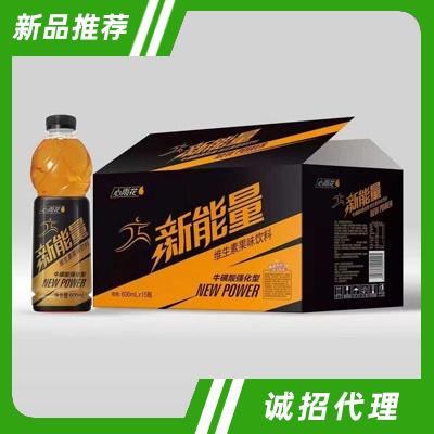 心雨花新能量維生素果味飲料600ml×15瓶