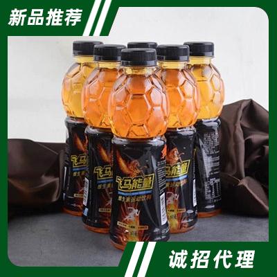 飛馬能量維生素運動飲料500ml