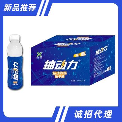 協力柚動力運動飲料600ml×15瓶