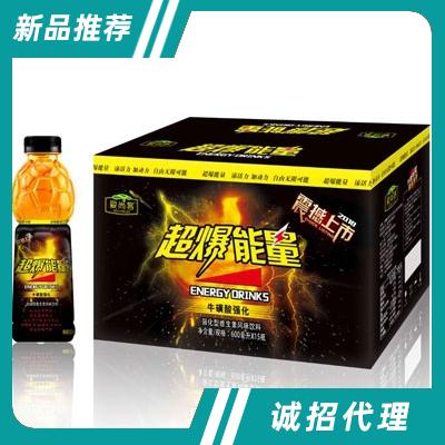 勁爆能量加強型維生素風味飲料600mlX15