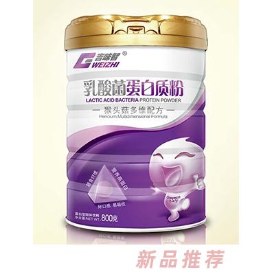 吉味智乳酸菌蛋白質粉 猴頭菇多維配方
