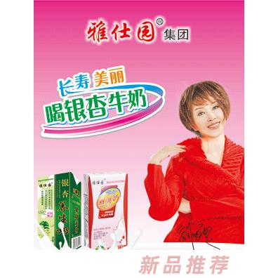 雅士利20盒銀杏奶袋子