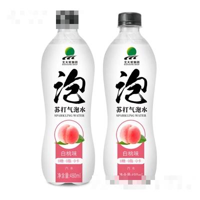 北大荒蘇打氣泡水汽水白桃味480ml