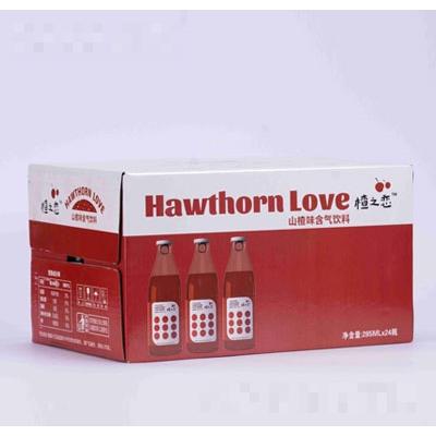 楂之戀山楂味含氣飲料285mlX24瓶