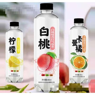 樂虎椰茗珠蘇打氣泡水480ml（3瓶）