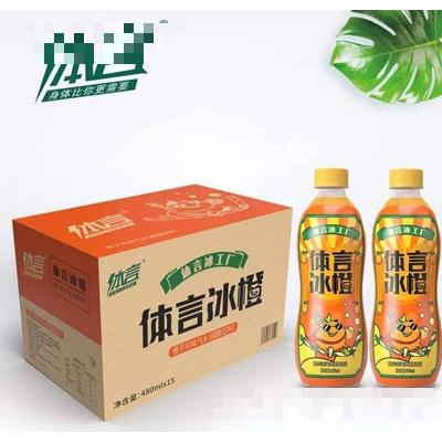 體言橙子風味汽水480mlX15瓶
