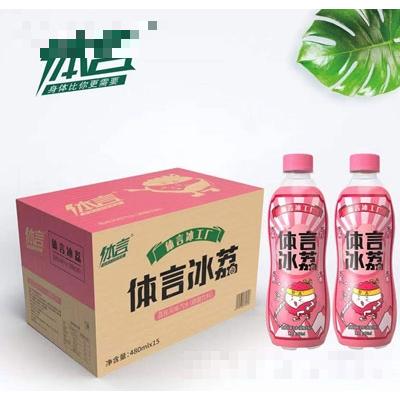 體言荔枝風味汽水480mlX15瓶