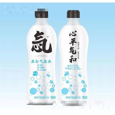 忥蘇打氣泡水原味480ml