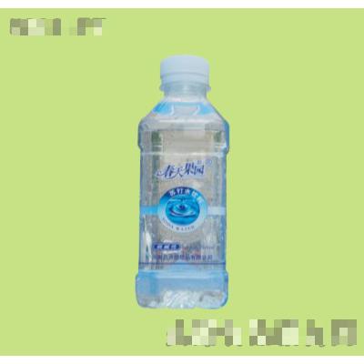 CT-350ml正典春天樂園蘇打水