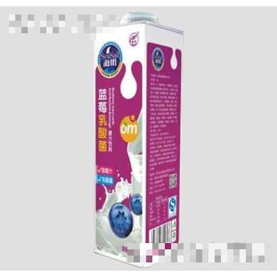海帆藍莓乳酸菌1.5L