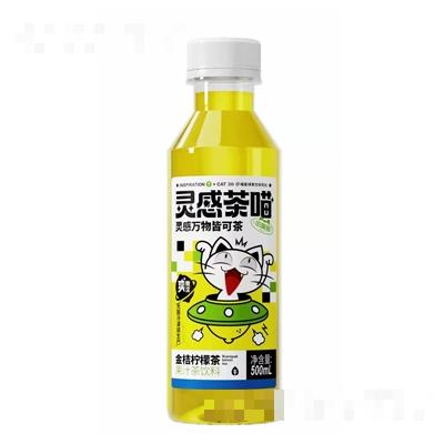 笨嘴貓金桔檸檬茶果汁茶飲料500ml果汁廠家招商代理批發
