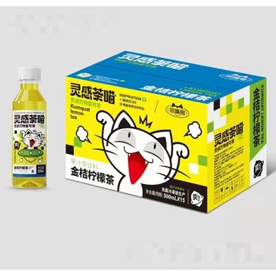 笨嘴貓金桔檸檬茶果汁茶飲料500mlX15新品上市果汁飲料批發