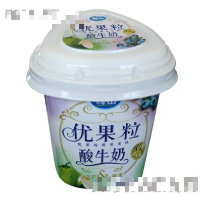 長春新高食品有限公司