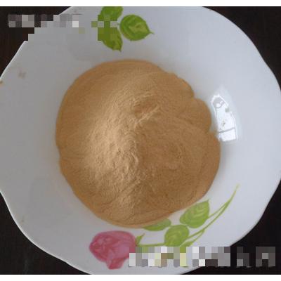 滄縣超晨棗業食品廠