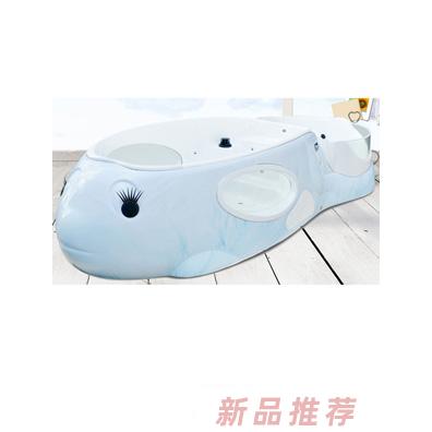 小蝌蚪智慧之星海豚池