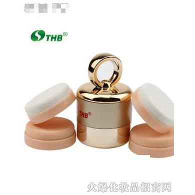 深圳市瑞吉斯科技有限公司