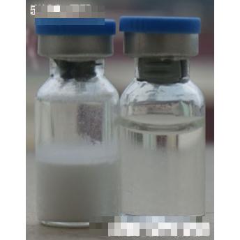 堿性成纖維細胞生長因子（bFGF）凍干粉+溶酶
