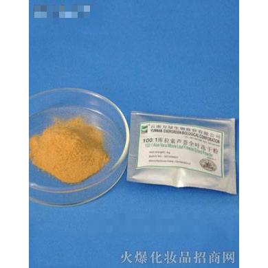 100：1蘆薈全葉凍干粉