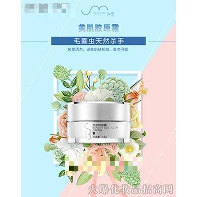 允美美肌膠原霜 15g