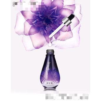 悠嵐達洋甘菊
