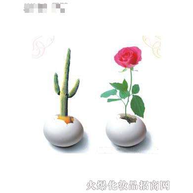 盆腔修復3大成員