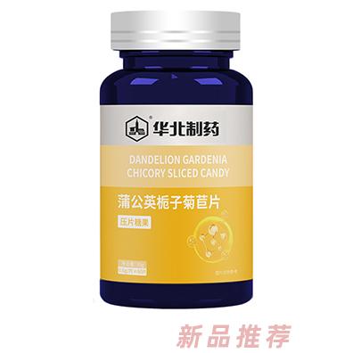 華北制藥蒲公英梔子菊苣人參瑪咖乳糖醇清口含片成人營養品