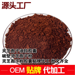 十余載堅守技術創新,破壁靈芝孢子粉貼牌代加工打造行業標桿