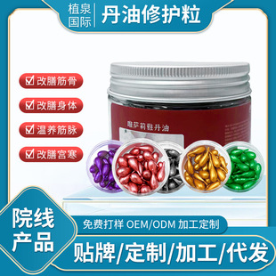 身體全身按摩生姜精油能量散結丹oem代加工