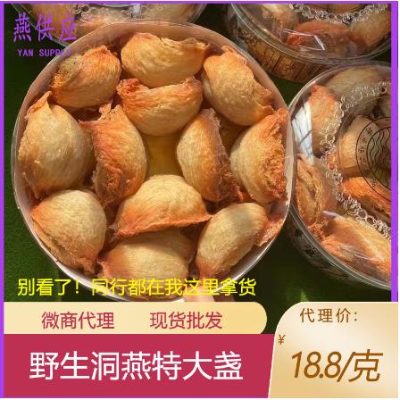 燕供應進口哥曼野生洞燕燕窩OEM貼牌代工