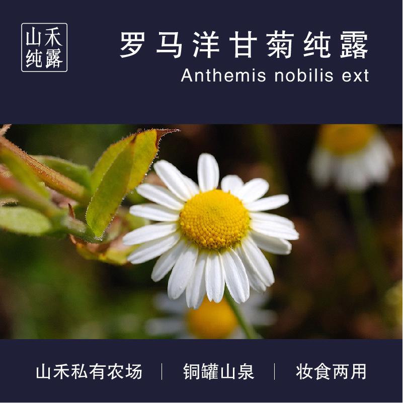 植物香料羅馬洋甘菊純露OEM代加工