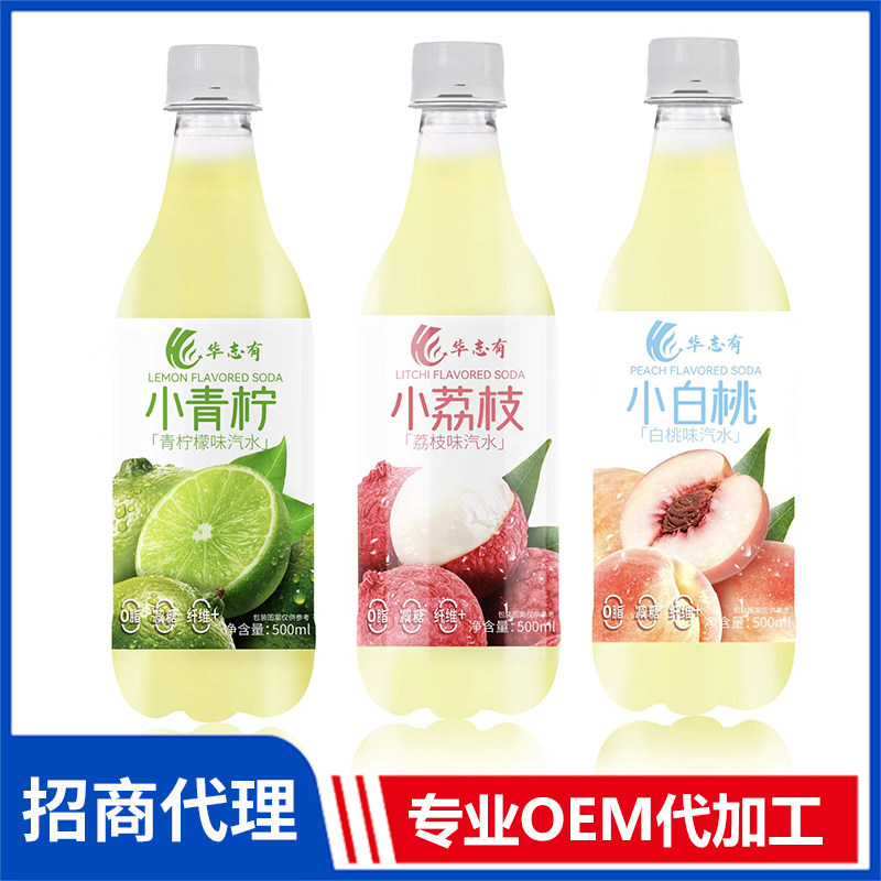 華志有果味汽水招商 果味汽水飲料代工定制源頭廠家