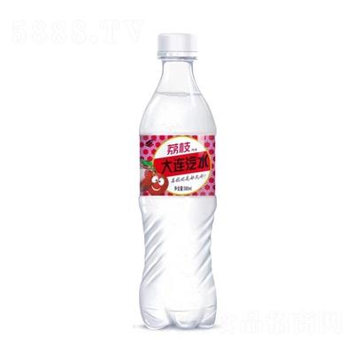 大連汽水荔枝味580毫升碳酸飲料OEM代加工