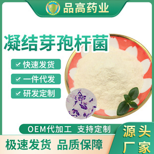 凝結芽孢桿菌OEM代加工