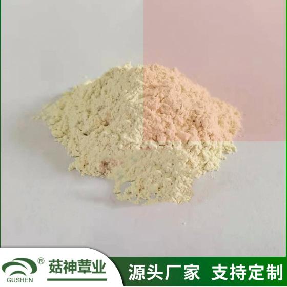 樹舌多糖 萃取提取物天然原料 黃棕色粉末 菇神蕈業OEM代加工