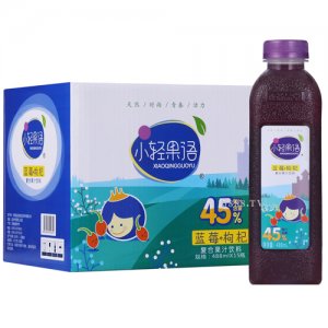 小輕果語藍莓+枸杞復合果汁