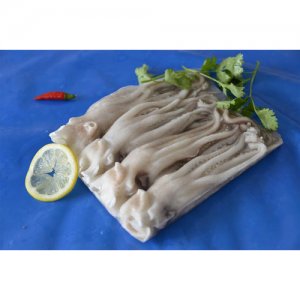 比奇魷魚頭