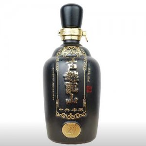 中央庫藏二十年