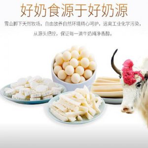 三江雪奶制品奶條奶酥奶貝奶豆.