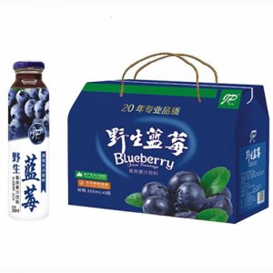 吉派野生藍莓汁300mlx8瓶