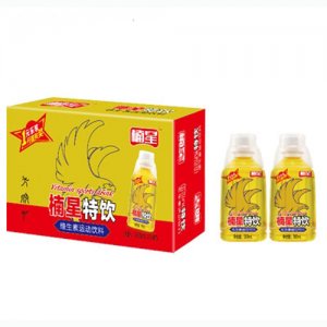 楠星特飲維生素運動飲料300mlX24
