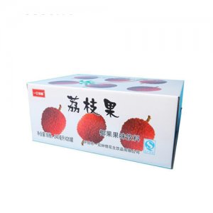 一見鐘情荔枝果椰果果味飲料
