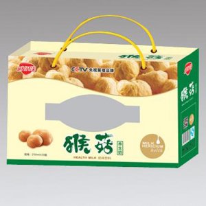 金嬌陽猴菇養生奶苗條磚250ml×10盒