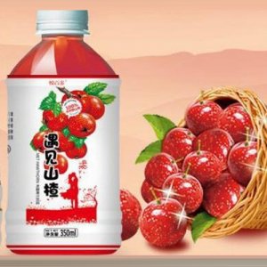 悅百多遇見山楂山楂汁350ml