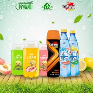 龍旺生命鹽點飲料500ml