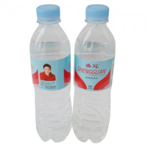 盛寶冠盛冠飲用純凈水520ml