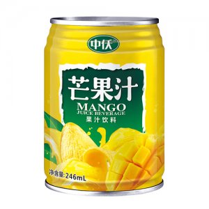 圣元中仸芒果汁飲料246ml