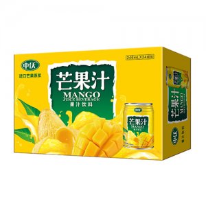 圣元中仸芒果汁飲料禮盒