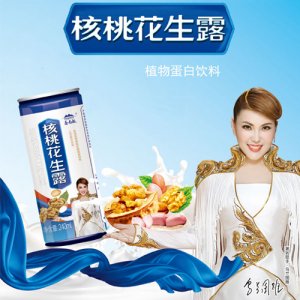 鑫南極核桃花生露240ml